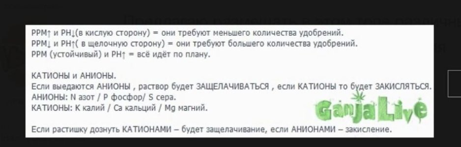 IMG_5833.jpeg