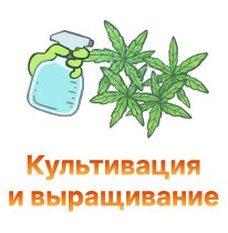 kultivaciya i vyrashchivanie-100.jpg