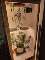 IMG_0225.jpeg