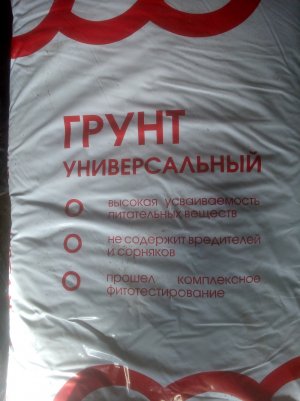 IMG_20220514_161753.jpg