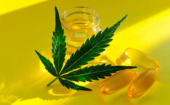sativa.jpg