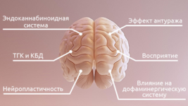 1764751505862.png