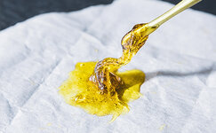 rosin__rNliPxtPEcWUC0jZ.jpg