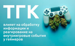 vliyanie-kannabisa-na-skorost-reakcii-i-kratkovremennuyu-pamyat__N28CoVBFGo6SSAk1.jpg