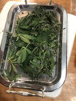 IMG_2643.jpeg