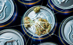 Ne-sovmeshchajte-kannabis-s-alkogolem__C2lrBySOAR08YRRl.jpg