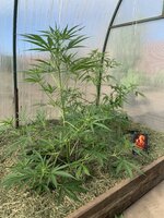 IMG_1164.jpeg