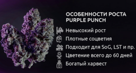 1781708413939.png 1781708413939.png