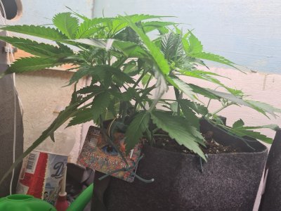 20220628_092159.jpg