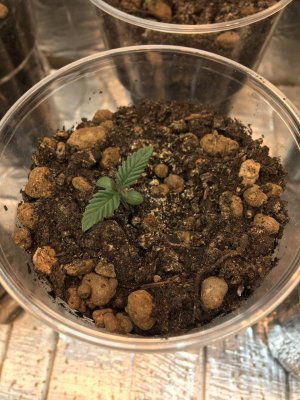 1 (10).jpg