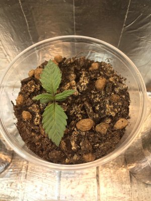 5 (12).jpg