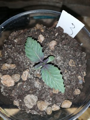 6 (13).jpg