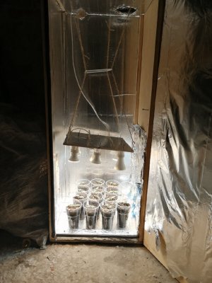box (2).jpg