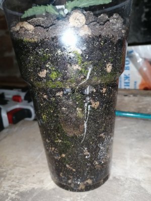 vod (1).jpg