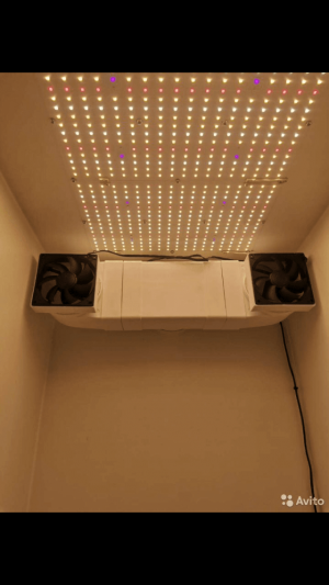 EE2D6145-BF53-4CAB-8B09-E33573847505.png