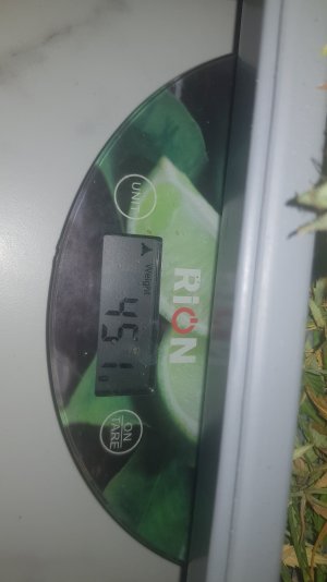 20221230_034340.jpg