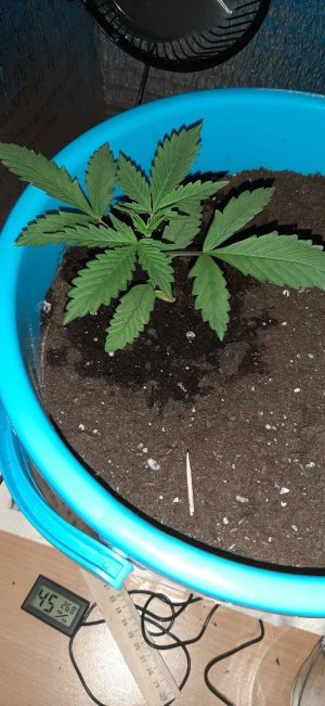photo_2021-02-22_00-41-57.jpg