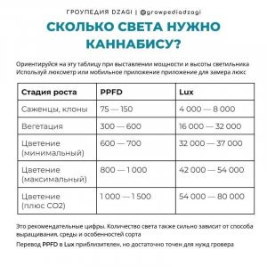 46687f3477739b325e8fb.jpg