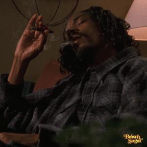 giphy.GIF