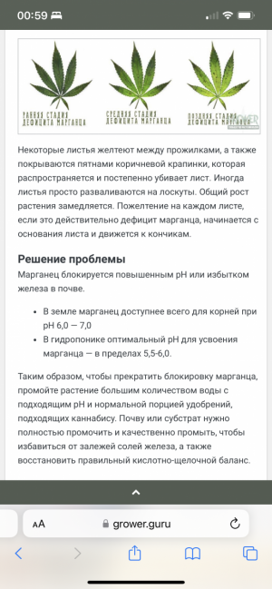 IMG_1923.png
