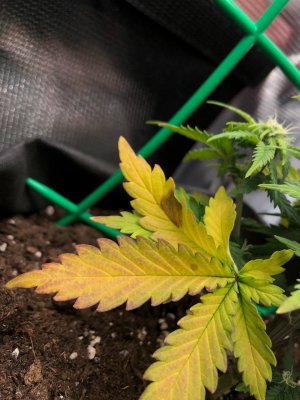 2024-01-16 22.28.41.jpg