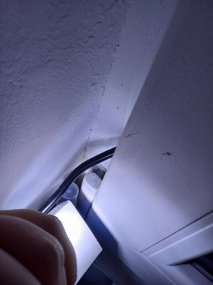 20240315_193934.jpg