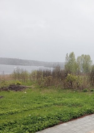 d234c255-a4b1-46a8-bca5-bb850115d89e.jpeg